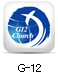 G-12